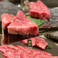 niku no OTO - 