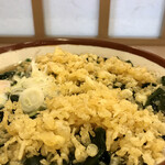 そばの神田 東一屋 - 揚げ玉ブチまけろ！  #BCMKR!