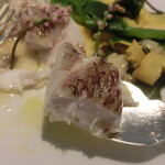 ミッシェル ナカジマ - 真鯛