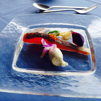 International cuisine subzero - 