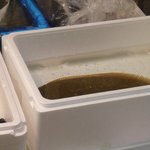 宇ち多゛ - うちだの向い側の『まぐろや』の発泡スチロールの箱の中に入っているヒラメ