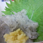 鯉寿司 - 白魚