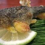 日本料理 TOBIUME - ⑫子持ち鮎(長野県天竜川産)の唐揚げ
      産卵期8月～11月、寿命1年。
      先程まで生きていた鮎をカラッと揚げてます。
      優しく穏やかな卵の旨み、しっとりとした身の味わい。
      秋の訪れを感じます。