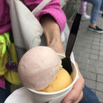 HiO ICE CREAM Atelier 自由が丘 - 