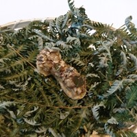 ad hoc  - 松茸の形をした松茸と鹿肉ジャーキー。