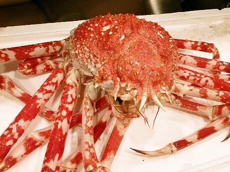 写真 地魚と天ぷら うろこ屋 ジザカナトテンプラ ウロコヤ 日本橋 天ぷら 食べログ