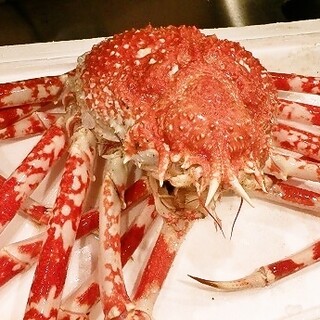 大阪でおすすめのグルメ情報 タカアシガニ をご紹介 食べログ