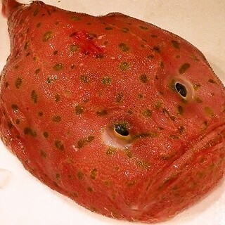 大阪でおすすめのグルメ情報 タカアシガニ をご紹介 食べログ