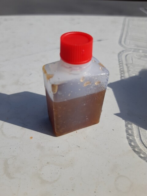 たこ焼き一番たこいち - 青森（たこ焼き）の写真