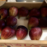 ろっかん - 大阪無花果