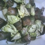 居魚屋　網元 - 亀の手です