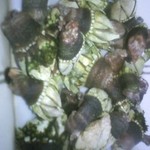 居魚屋　網元 - 亀の手です