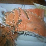 居魚屋　網元 - 足袋海老です