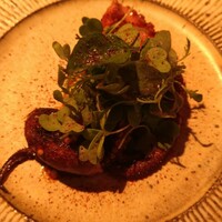 aru - 発酵赤ピーマン 真鯛