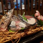 鮮魚とおばんざい 浜金 - 