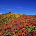 大釜もつ煮 五右衛門 - 