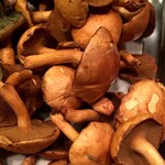 日本料理 たかむら - あみ茸