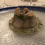 トゥールダルジャン - 