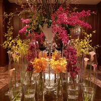 スプレンディード - 