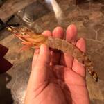 ビストロ セレニテ - 