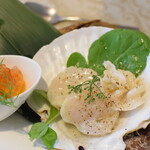 ビストロ セレニテ - 