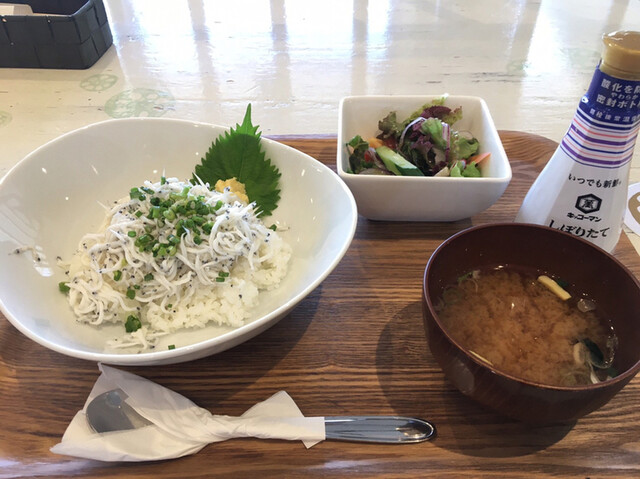釜揚げしらうお丼 By あくびにゃんこ かすみキッチン かすみがうら市その他 郷土料理 その他 食べログ