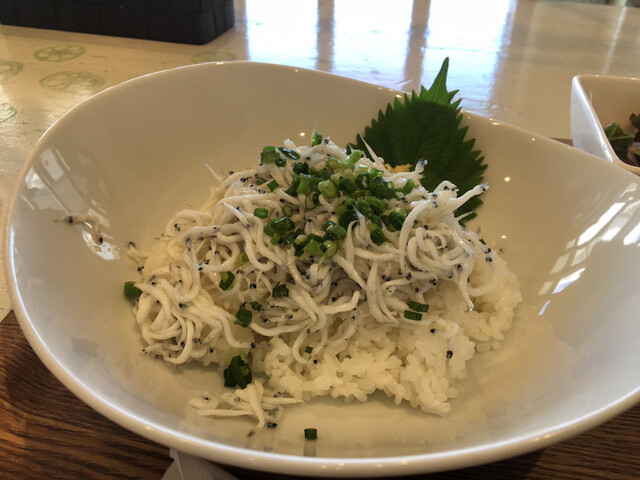 釜揚げしらうお丼 By あくびにゃんこ かすみキッチン かすみがうら市その他 郷土料理 その他 食べログ