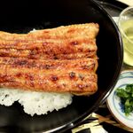勢麟 - うなぎ蒲焼丼