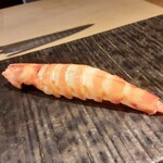 鮓菜 浅乃 - 車海老