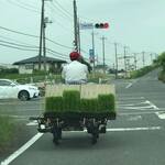 ビストロ セレニテ - 