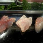 帆掛鮨 - 白身食べ比べ（イサキ、金目鯛、シマアジ）