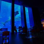 オーシャンブルー Ocean Blue 本部町 カフェ 食べログ オーシャンブルー Ocean Blue 本部町 カフェ 食べログ