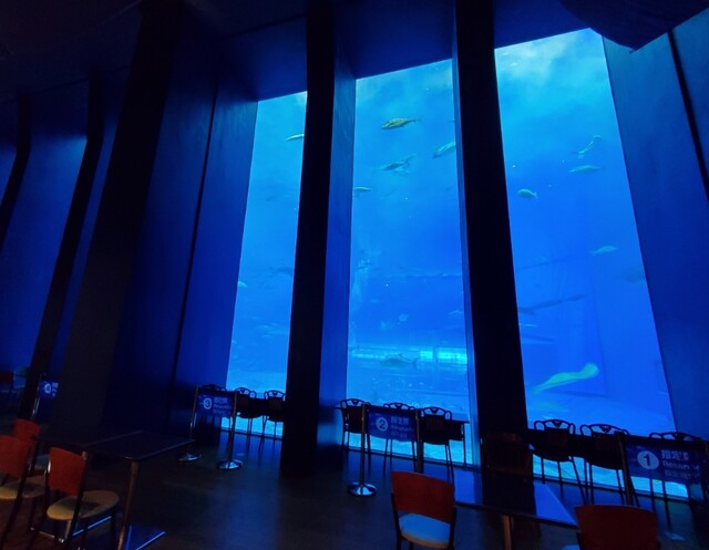 オーシャンブルー Ocean Blue 本部町 カフェ 食べログ オーシャンブルー Ocean Blue 本部町 カフェ 食べログ
