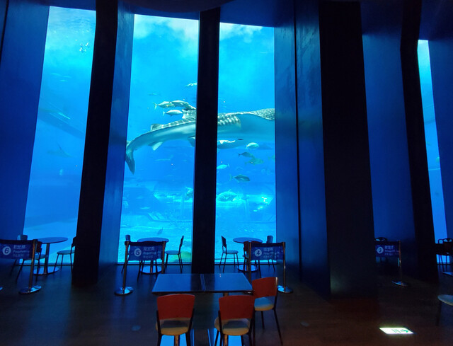オーシャンブルー Ocean Blue 本部町 カフェ 食べログ オーシャンブルー Ocean Blue 本部町 カフェ 食べログ