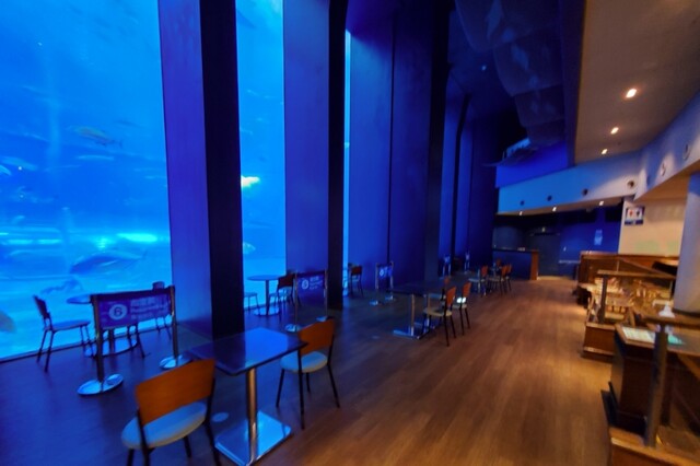 オーシャンブルー Ocean Blue 本部町 カフェ 食べログ オーシャンブルー Ocean Blue 本部町 カフェ 食べログ