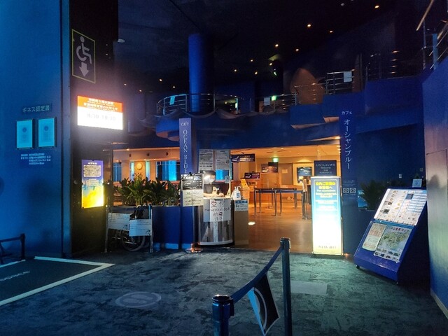 オーシャンブルー Ocean Blue 本部町 カフェ 食べログ オーシャンブルー Ocean Blue 本部町 カフェ 食べログ