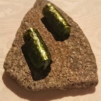 ヒカリヤ ニシ - 長余唐辛子