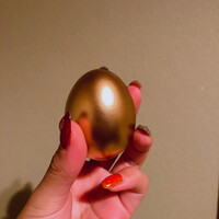 ツキと寿っぽん - 