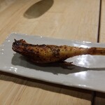 スパイスバル コザブロ - 