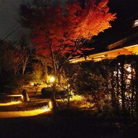 ろあん松田 篠山店 - 