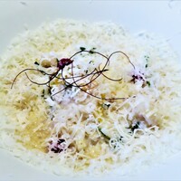 山地陽介 - アオリイカのカルボナーラ