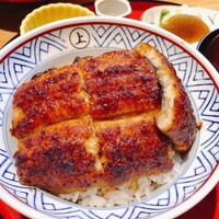 炭焼 うな富士 有楽町店 - 