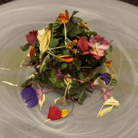 ARMONICO -  ARMONICO -