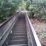 おらが茶屋 - ⑦頑張って！３２２段の階段を上りましょう！