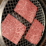 日本焼肉 はせ川 銀座店