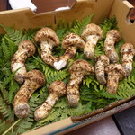 柚木元 - 本日の主役(8人分)