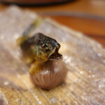 柚木元 - 天竜川の子持ち鮎、栗の渋皮煮
