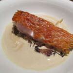 蒼 - 伊豆稲取産金目鯛