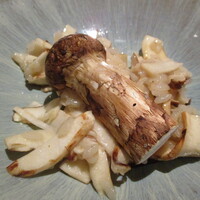 蒼 - ブータン／岩手産松茸のリゾット　明石からの鱧を香らせて