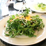 カフェ＆ガーデン しらさぎ邸 - 